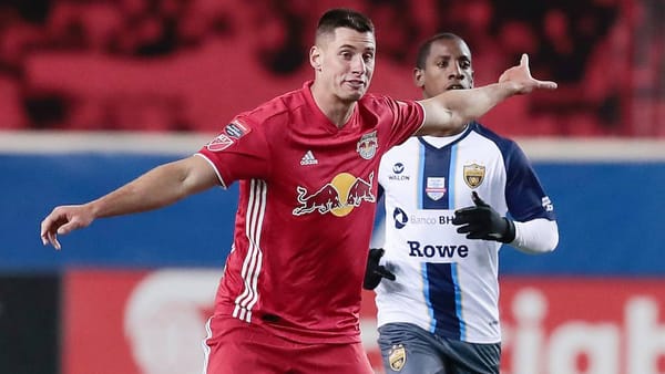 Sean Nealis Providing Consistency And Flexibility For Struber's Red Bulls